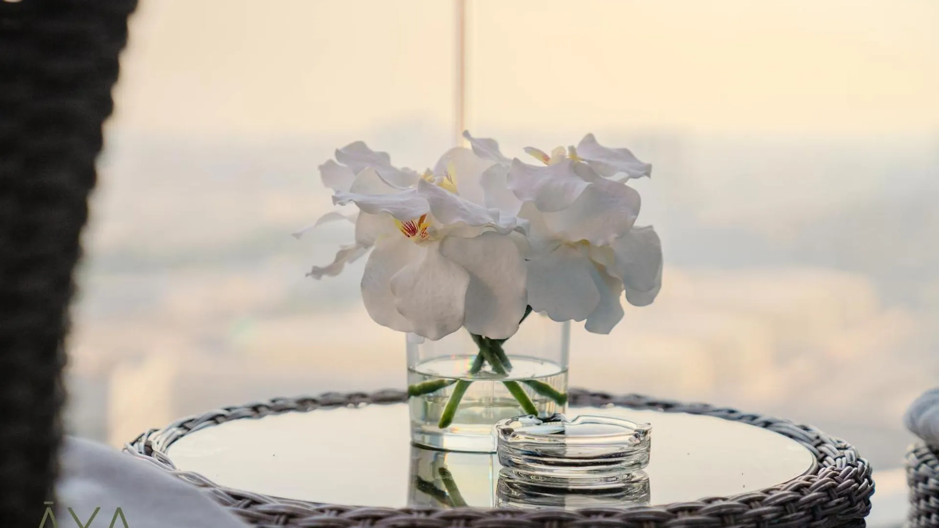 Apartmán Luxury Beachfront 1Br Jumeirah Gate Tower 1 By Aya Boutique Dubaj